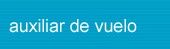 Auxiliar de vuelo