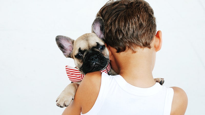 Un niño coge en brazos a un perro