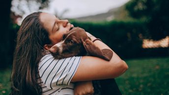 Adiestramiento positivo con perros