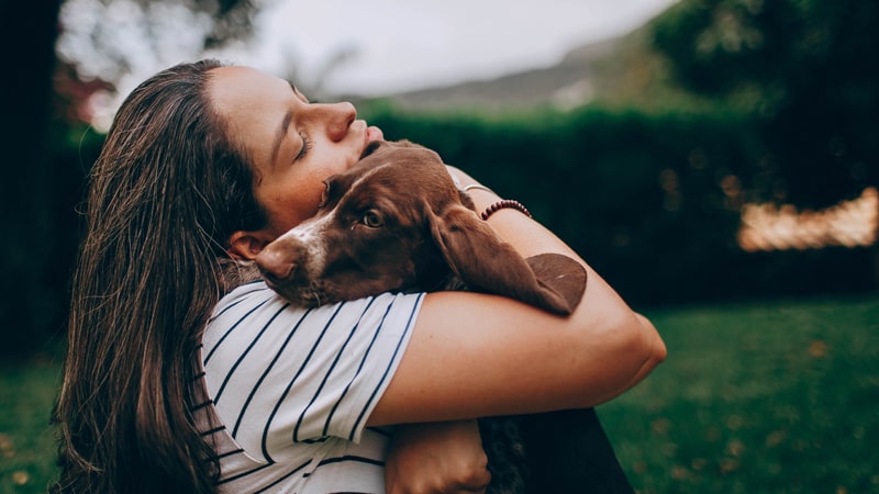 Adiestramiento positivo con perros