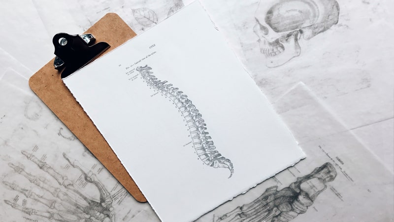 Higiene postural para la vida diaria 1 Ilustración de la columna vertebral