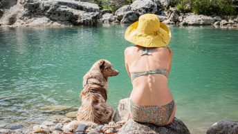Perro tomando el sol con su dueña