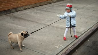 Niña reprende a su perro