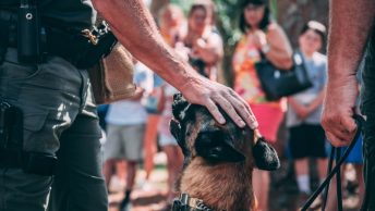Perro K9 acariciado por su guía canino