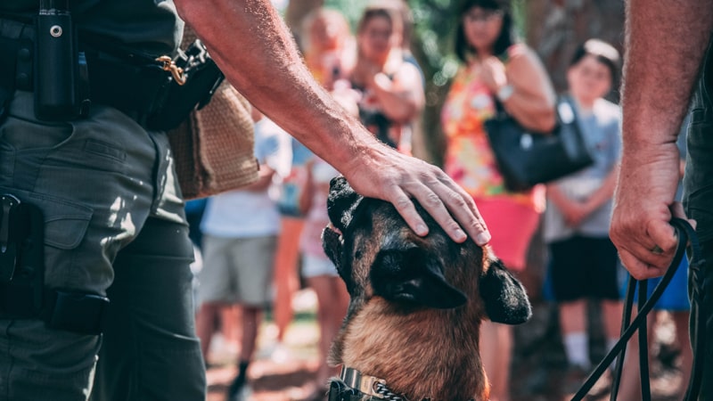 Perro K9 acariciado por su guía canino