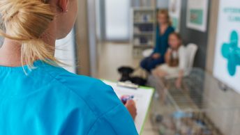 Sala de espera de una cínica veterinaria