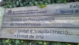 Centre-Recuperacio-Fauna-Salvatge-Torreferrussa