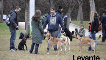 Adiestramento de Perros en los Jardines del Turia.|Adiestramento d ePerros en los Jardines del Turia.|Adiestramento d ePerros en los Jardines del Turia.|Adiestramento d ePerros en los Jardines del Turia.