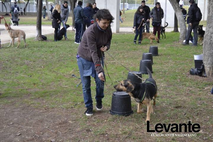 Adiestramento de Perros en los Jardines del Turia.