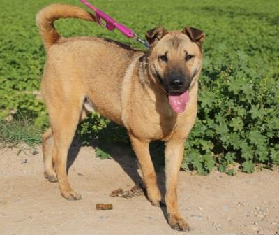 Robi-Modepran-1|Robi-Modepran-2|Robi-Modepran-3