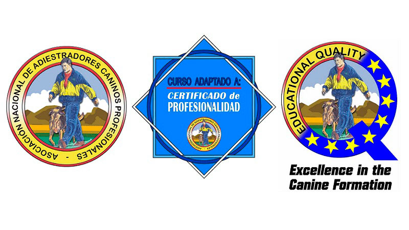 acreditacion-de-la-anacp|diploma-adiestrador-canino-profesional-anacp|adiestrador-canino-profesional|clases-del-curso-de-adiestramiento-canino