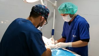alumno-cim-auxiliar-operacion-veterinaria-min|tabla-salarial-convenio-colectivo-veterinario-min