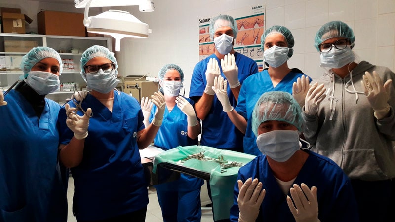 Cómo acreditar tus competencias como auxiliar de veterinaria 1 alumnos-auxiliar-veterinario-practicas-min