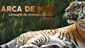 arca-de-noe-alicante