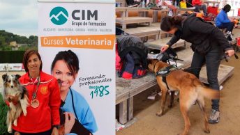 campeonato-agility-min