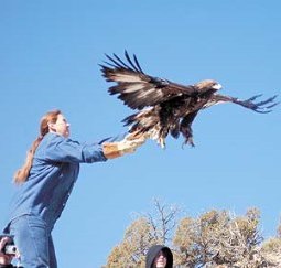 centro-recuperacion-fauna-salvaje-10