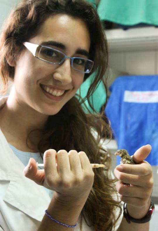 centro-recuperacion-fauna-salvaje-2