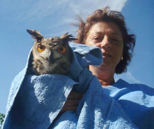 centro-recuperacion-fauna-salvaje-4