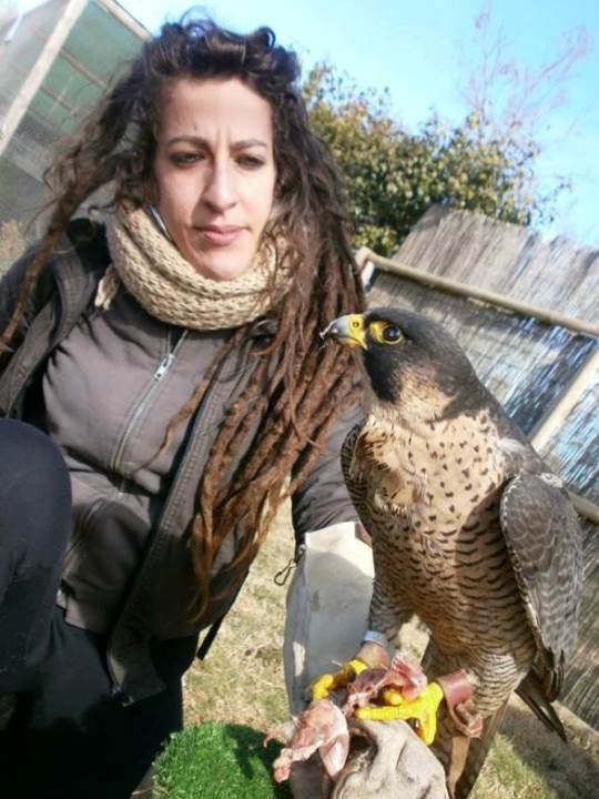 centro-recuperacion-fauna-salvaje-9