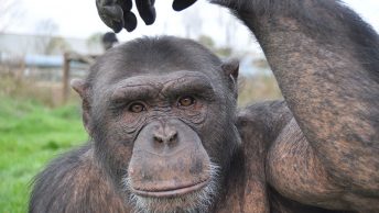 fundacio-mona|fundacio-mona|fundacio-mona|fundacio-mona