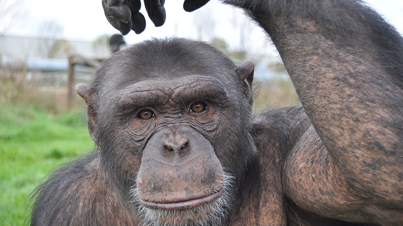 fundacio-mona|fundacio-mona|fundacio-mona|fundacio-mona