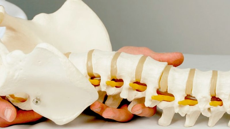 columna-vertebral-min