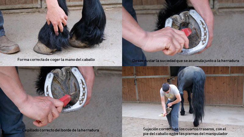 Cuidados y mantenimiento de los cascos (paso a paso) 1