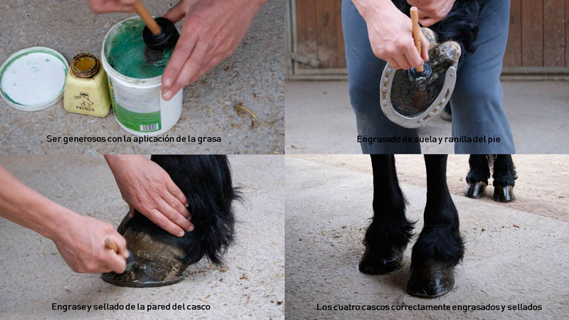 Cuidados y mantenimiento de los cascos (paso a paso) 2