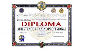 Diploma de adiestrador canino profesional con la acreditación de la ANACP