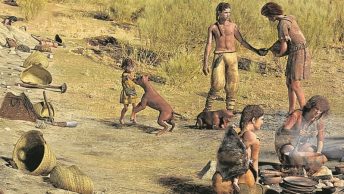 domesticacion-del-perro-gradual