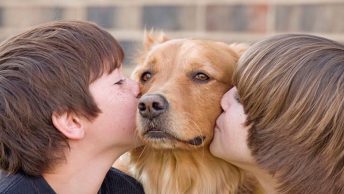 Dos niños besan a un perro