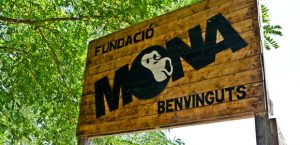 Fundación Mona