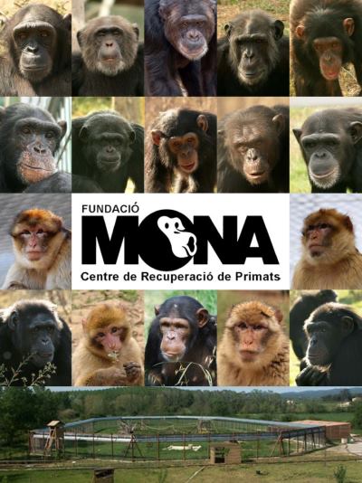 CIM Formación y Fundación Mona firman un convenio de colaboración 2 fundacio-mona