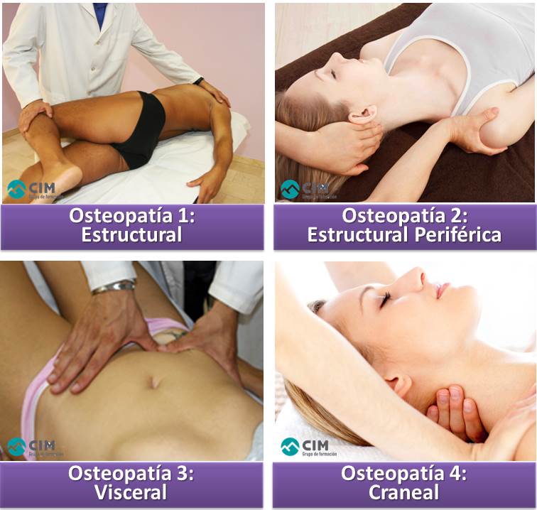 Origen y principios de la osteopatía 1