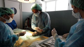 quirofano-veterinario-min