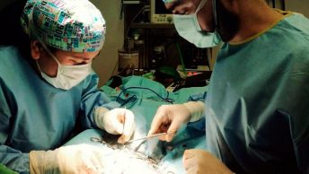 raquel-quirofano|certificado-raquel