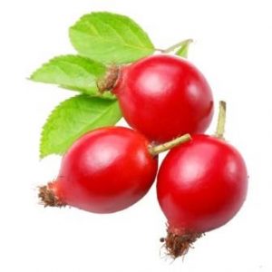rosa mosqueta