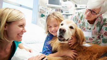 Perro de terapia asistida con una niña en el hospital