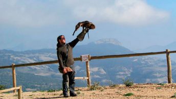 Visita de CIM al Zoo del Pirineu