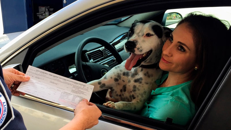 Qué documentos legales necesitan nuestras mascotas 1 Policía pide documentación del perro