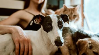 Chica con animales adoptados