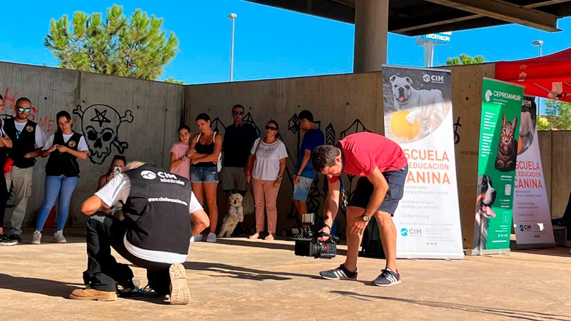 Taller canino gratuito en Murcia