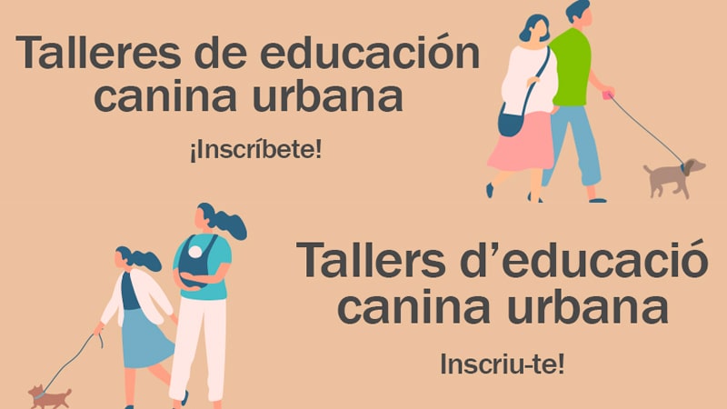 Carteles taller educación canina en Barcelona