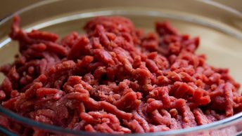 Plato de carne cruda para perros