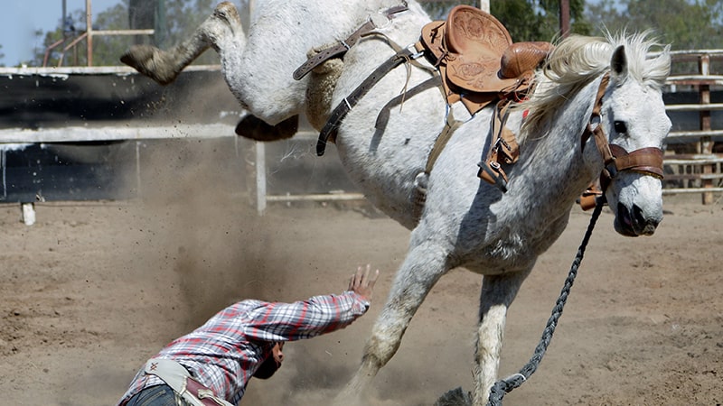 Cómo manejar a un caballo agresivo 1 Caballo agresivo