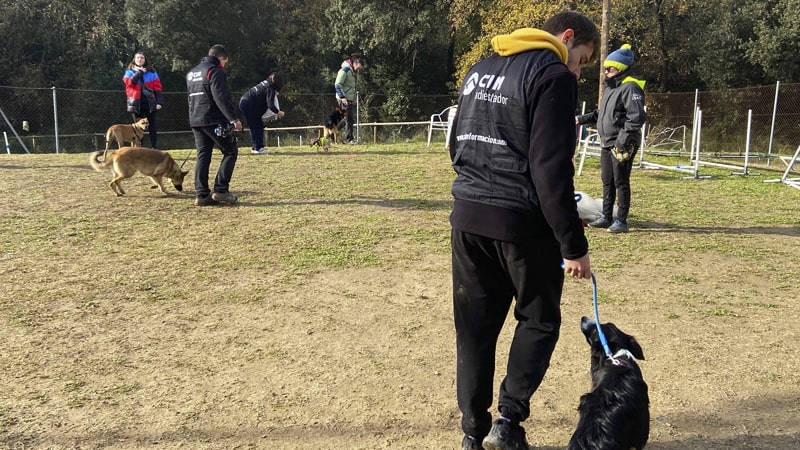 Aprendiz de adiestrador canino