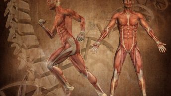 Los 5 trastornos musculoesqueléticos más habituales 4