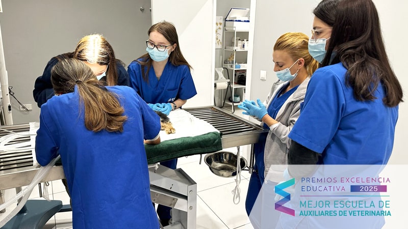 Premio excelencia educativa