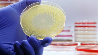 Antibióticos resistentes