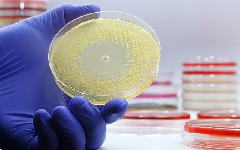 Antibióticos resistentes